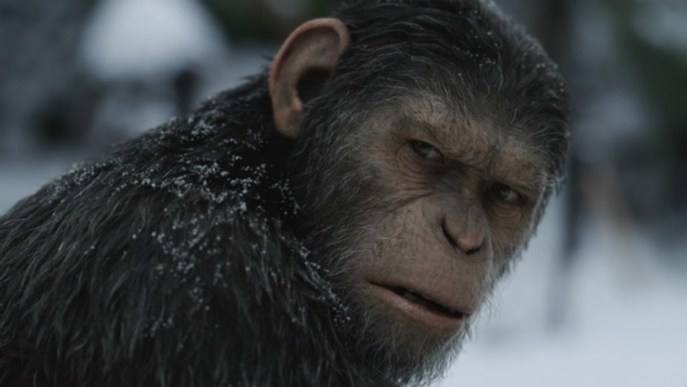 فیلم «جنگ سیاره میمون ها»(war of the planet of the apes)